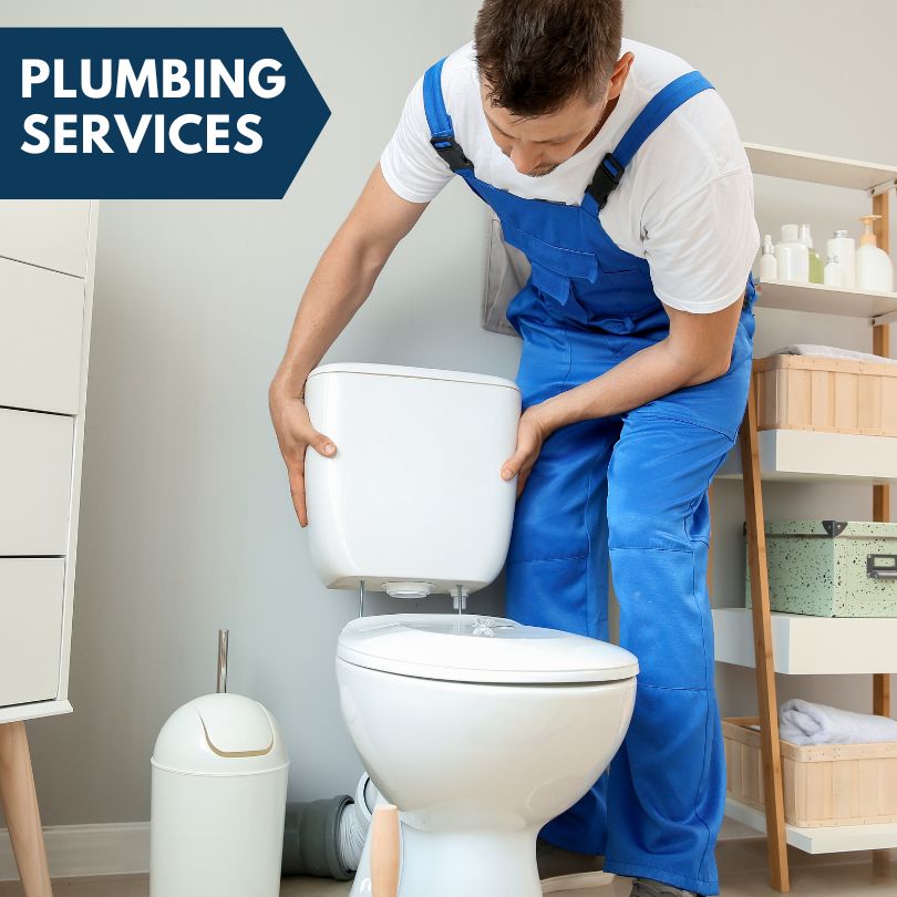Plumbing Company in Mcintyre, GA